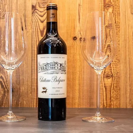 Tatil Evi Kellnergut Luxus-chalet 