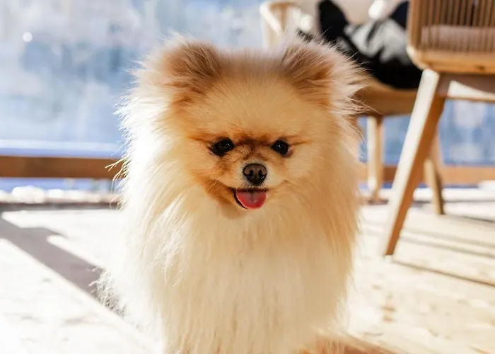 Kellnergut Luxus-chalet 